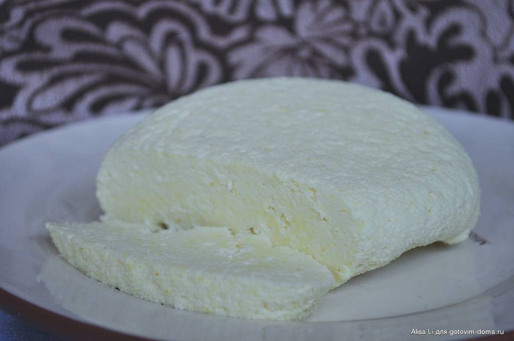 Адыгейский сыр: польза и вред продукта
