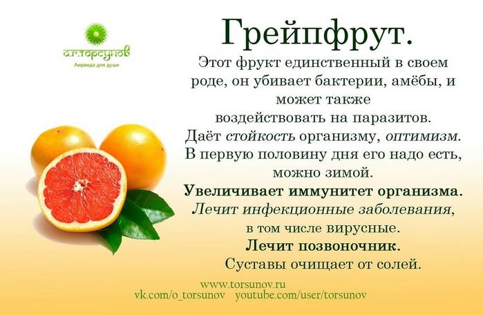 Польза и вред грейпфрута для организма человека