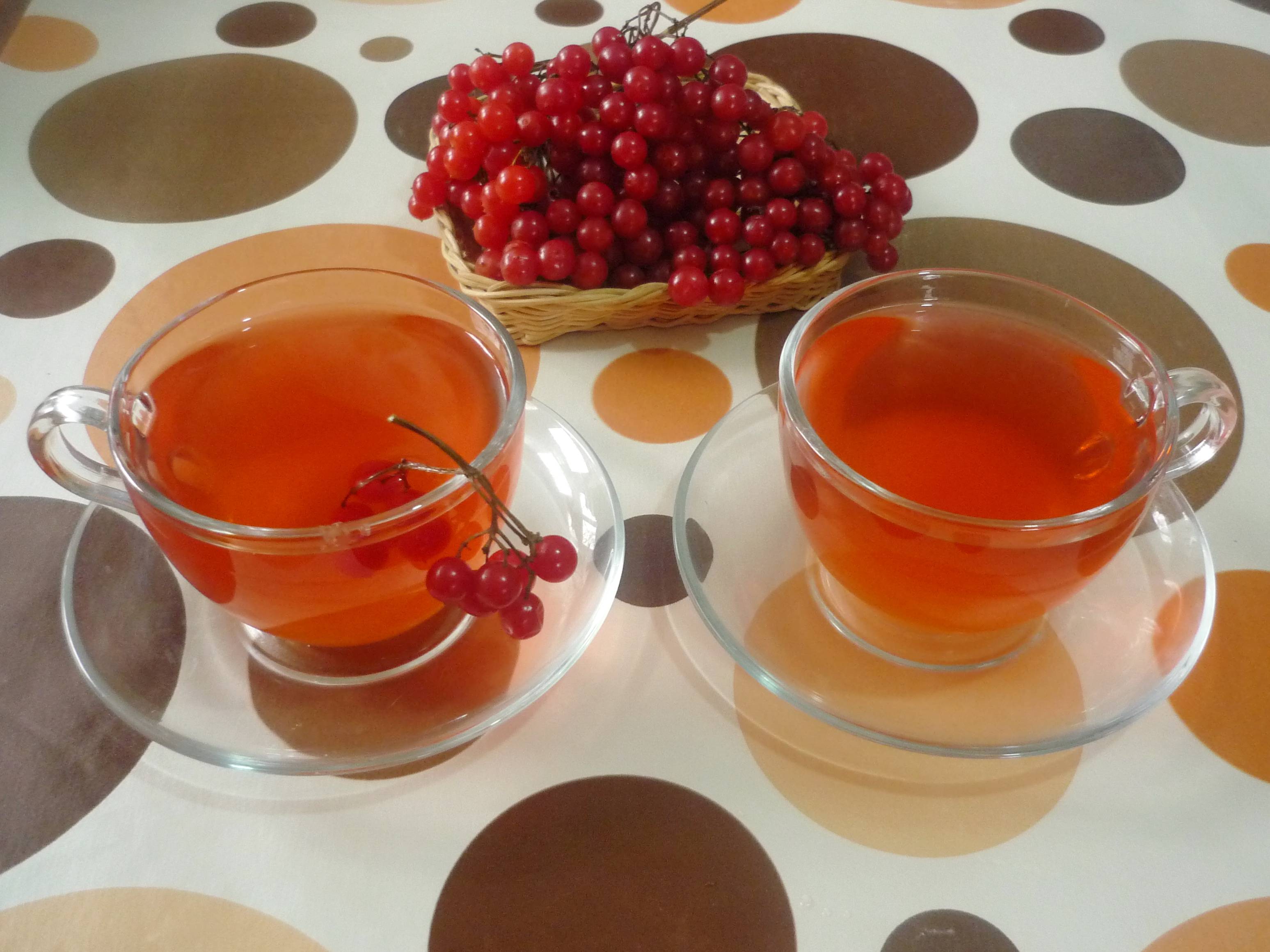Калина: польза и вред для здоровья – ягоды калины красной, сок, варенье, морс
