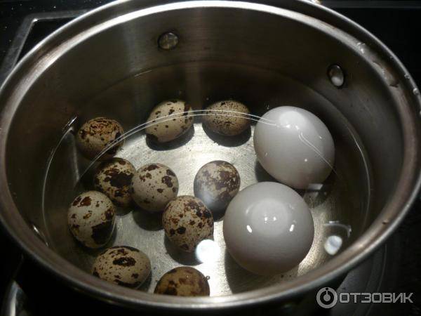 Сколько варить перепелиные яйца для ребенка