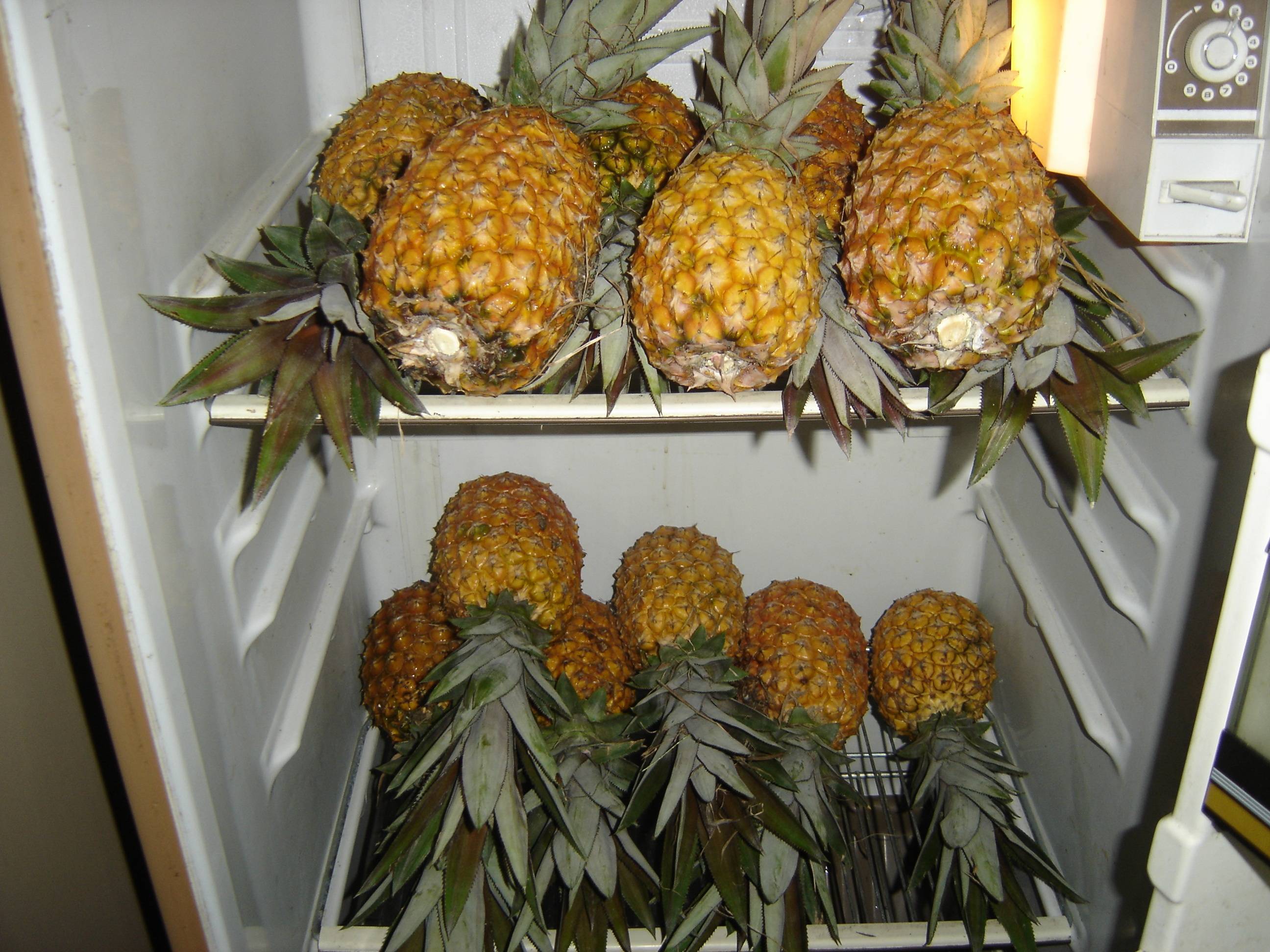 Как хранить ананас — как правильно в домашних условиях сохранить фрукт до нового года? (135 фото)