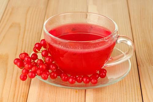 Рецепт заваривания чая с калиной: польза напитка, как пить от простуды?