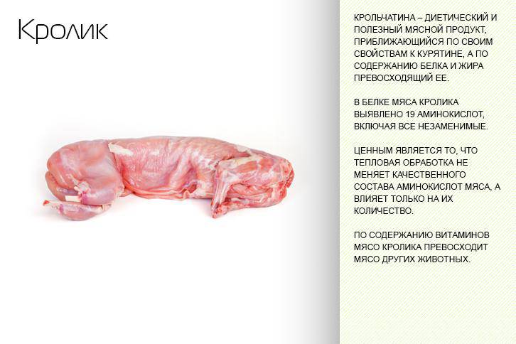 Мясо кролика: польза и вред для организма, рецепты приготовления
