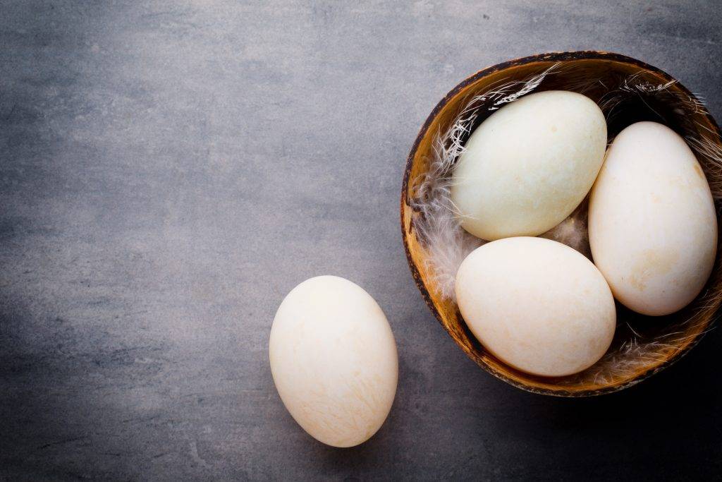 Чем полезны гусиные яйца для мужчин. можно ли есть гусиные яйца? чем отличаются от куриных