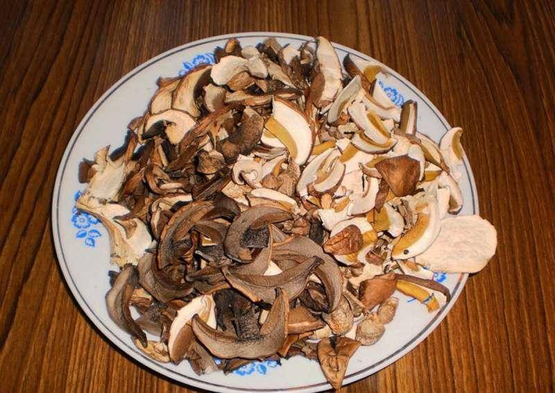Как сушить белые грибы на зиму в домашних условиях