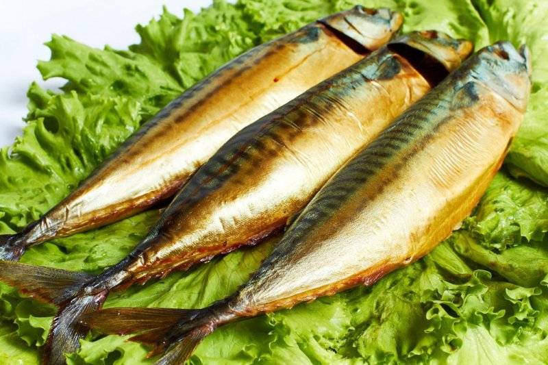 Полезные свойства сардины для здоровья людей и противопоказания. сардина: польза и вред, калорийность, пищевая ценность сардина жирная рыба или нет