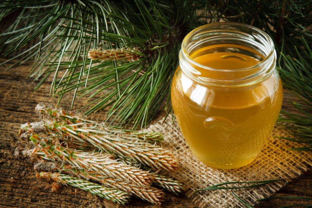 Дягилевый мед: полезные свойства и способы применения