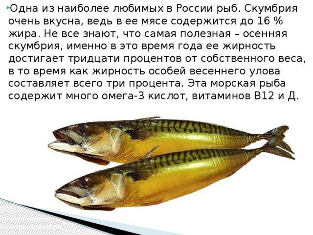 Самые полезные сорта рыб для здоровья: топ-9