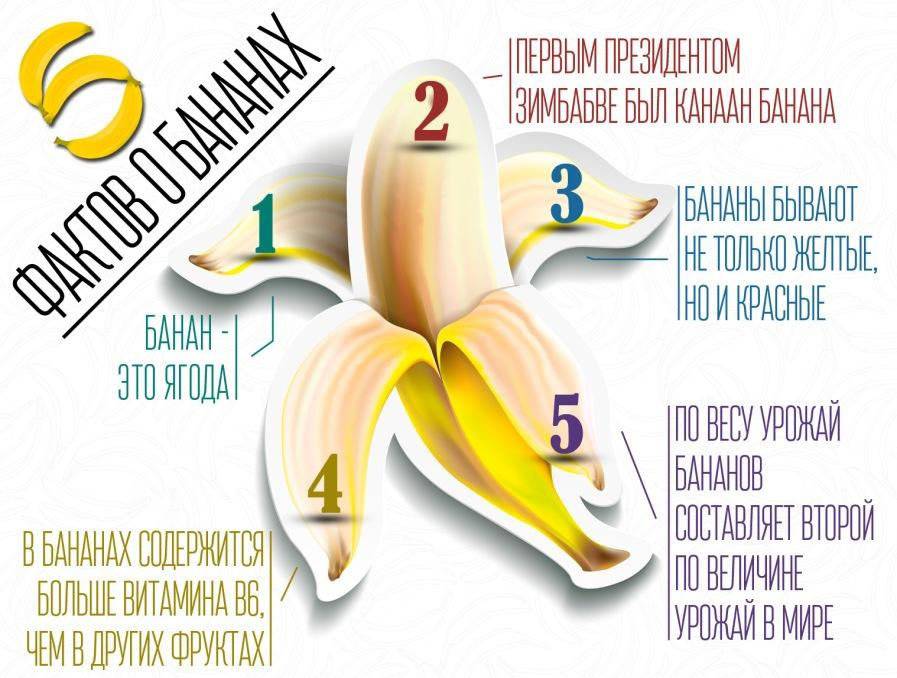 Польза и вред бананов для здоровья организма