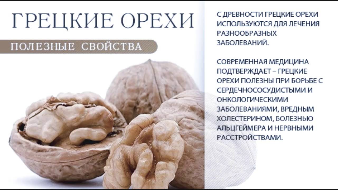 Грецкий орех: польза и вред для человека