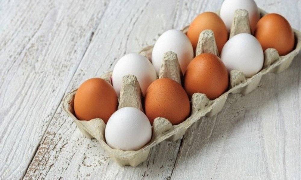 Чем отличаются белые куриные яйца от коричневых