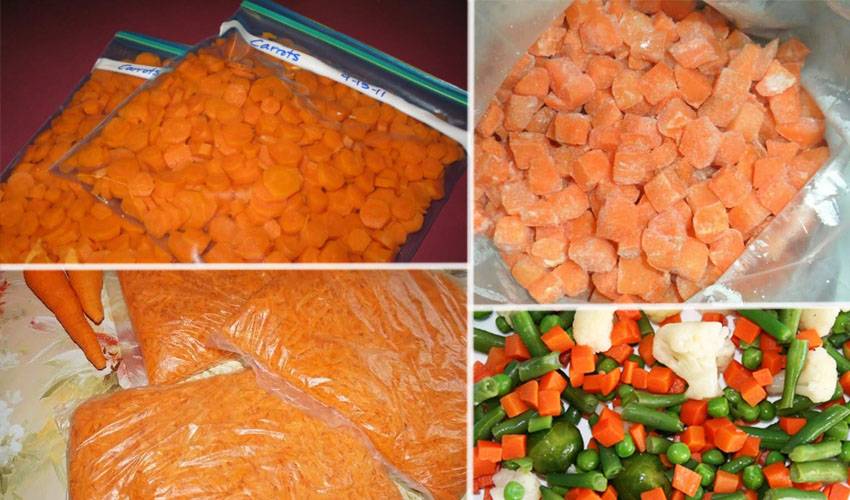 Как сушить морковь в домашних условиях