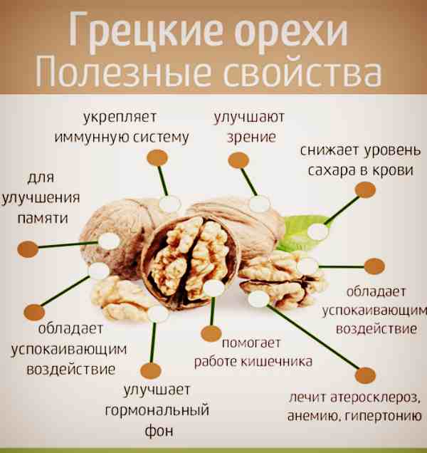 Польза и вред грецкого ореха для мужчин, включая влияние на потенцию и сердце. всё о продукте и его потреблении