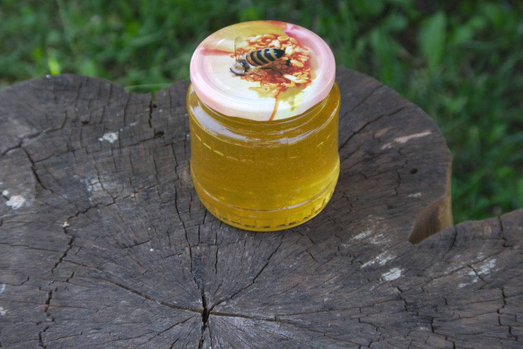 Мед горный – природный источник полезных веществ