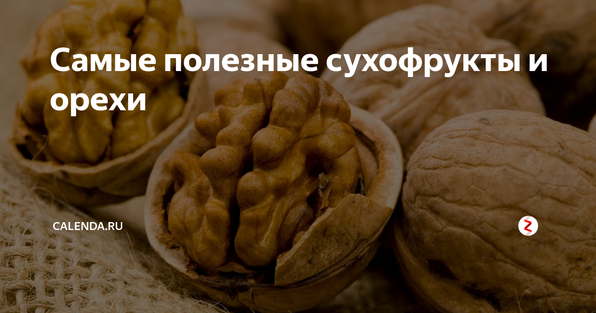 “грецкий орех: полезные свойства для организма и возможный вред”