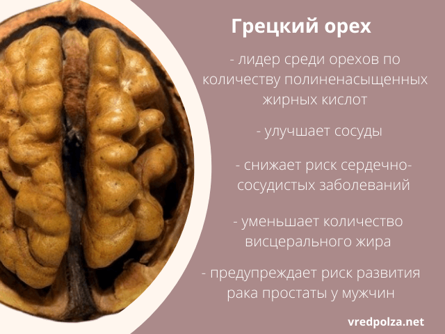 Польза и вред для организма от употребления грецкого ореха