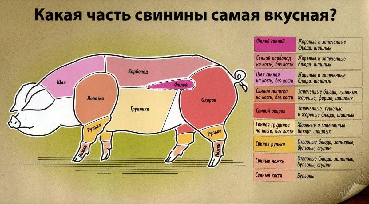 Польза свинины для женщин. чем полезно мясо свинины