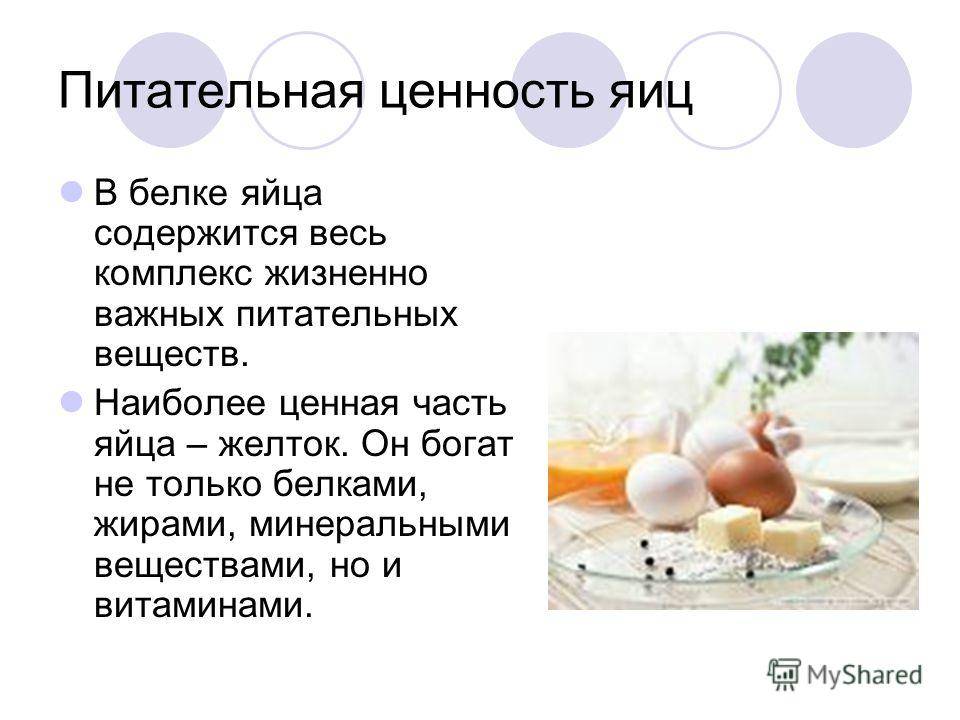 Полезен ли омлет по утрам. омлет — польза и вред для здоровья организма. омлет с сыром и белым хлебом