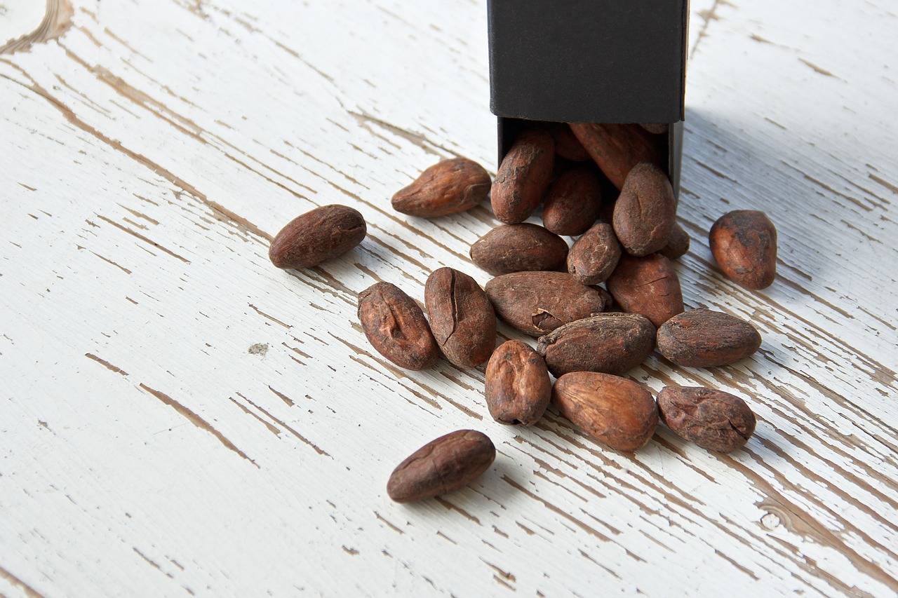 Какао порошок — польза и вред для здоровья