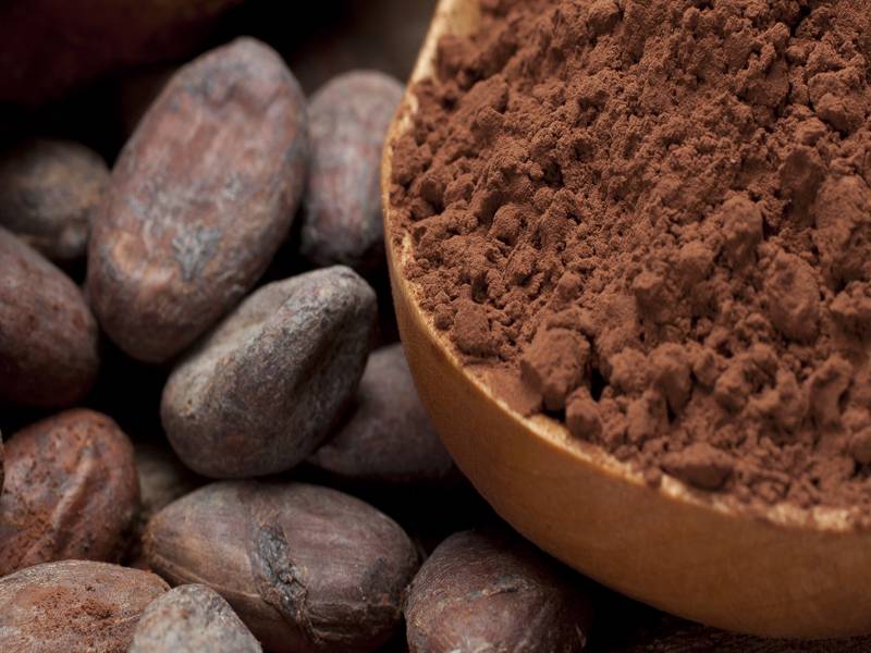 Какао бобы польза и вред