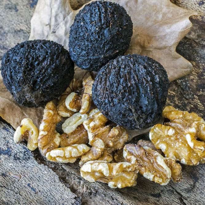 Полезные свойства и применение масла черного ореха