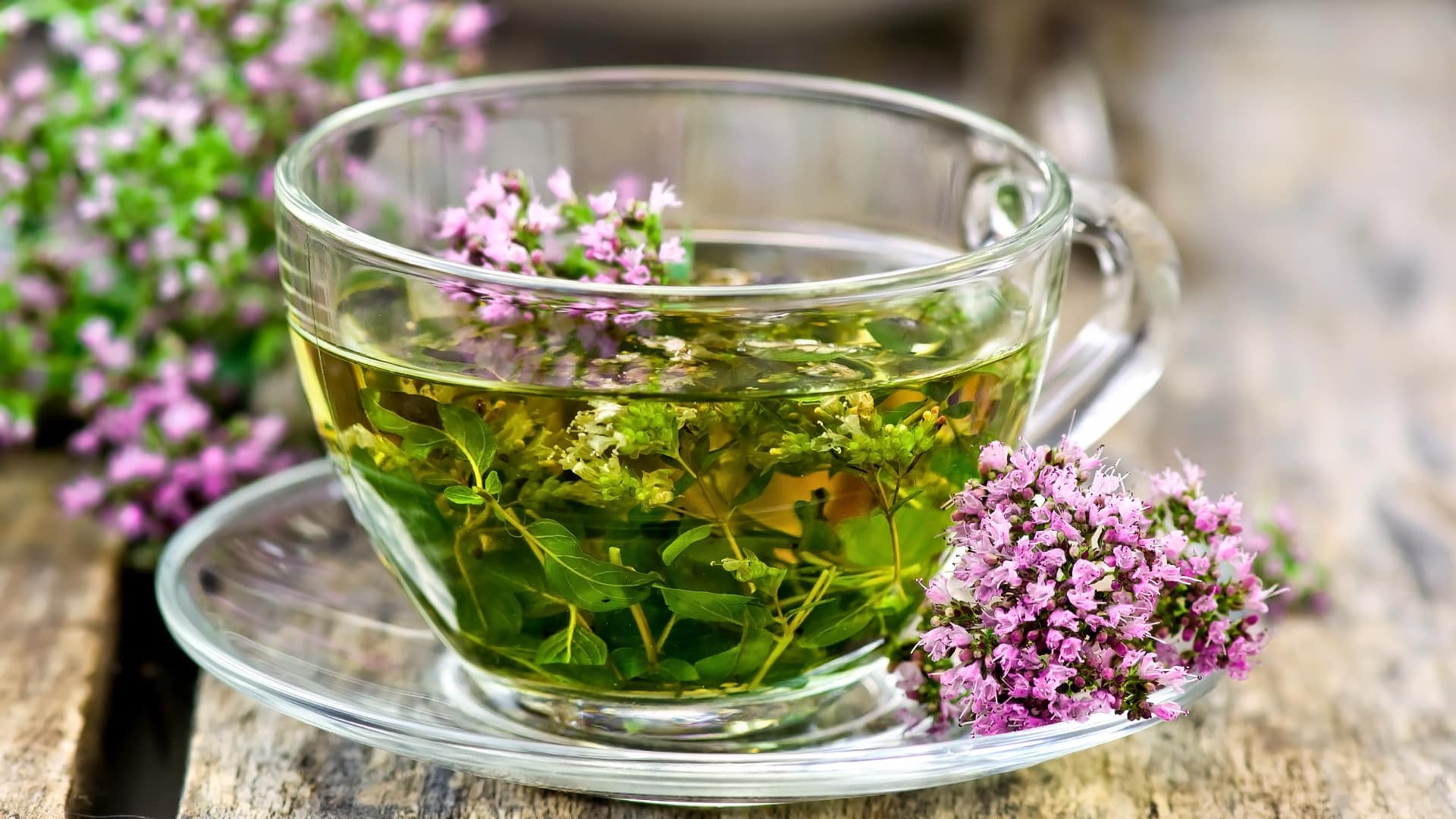Чай с душицей и чабрецом — чем полезен? как заваривать? популярно о здоровье, как заварить чай с душицей.
