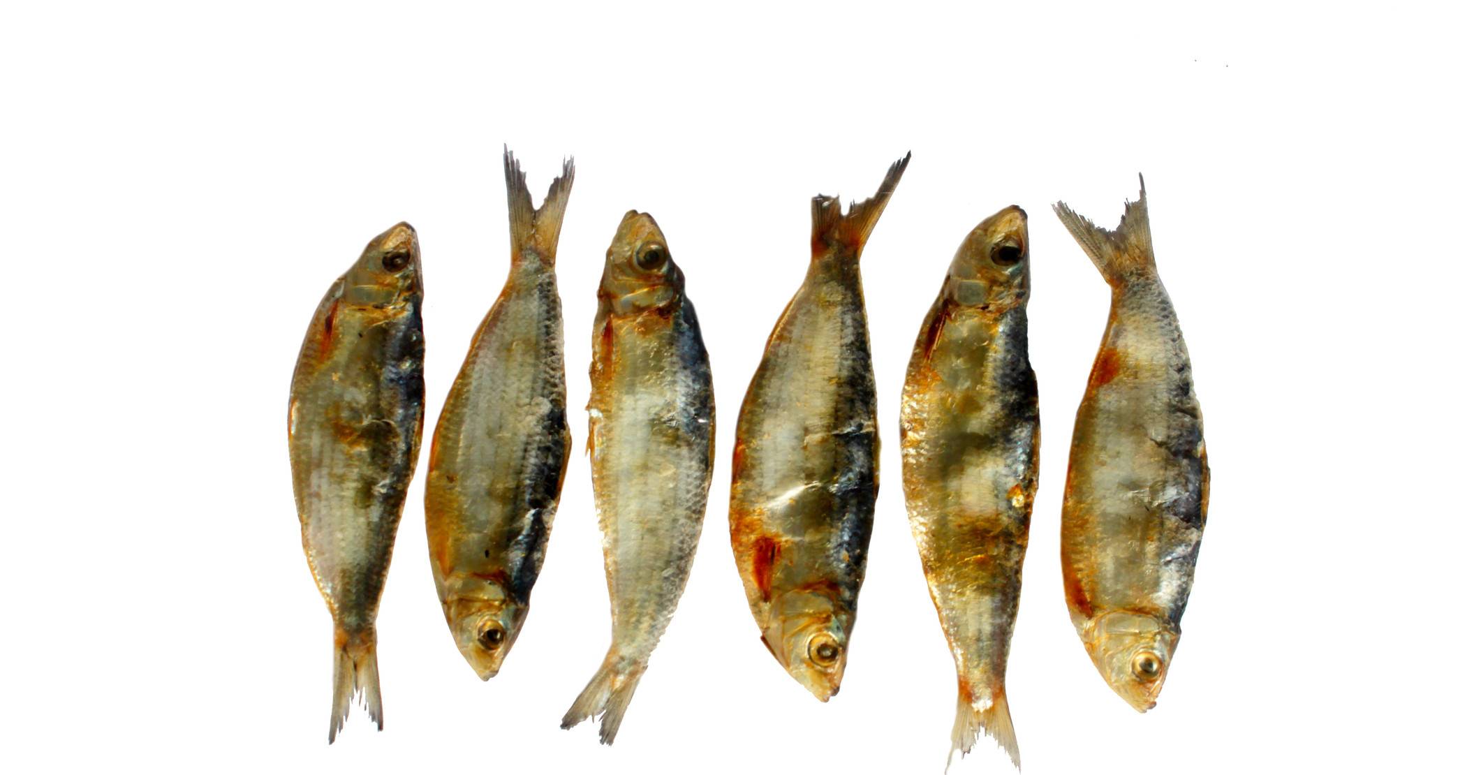 Можно ли есть на диете сушеную рыбу. калорийность, польза и вред вяленой рыбы