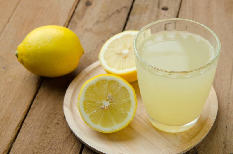 Целительная сила китайского лимонника — обсудим его полезные свойства, лечебный эффект и противопоказания