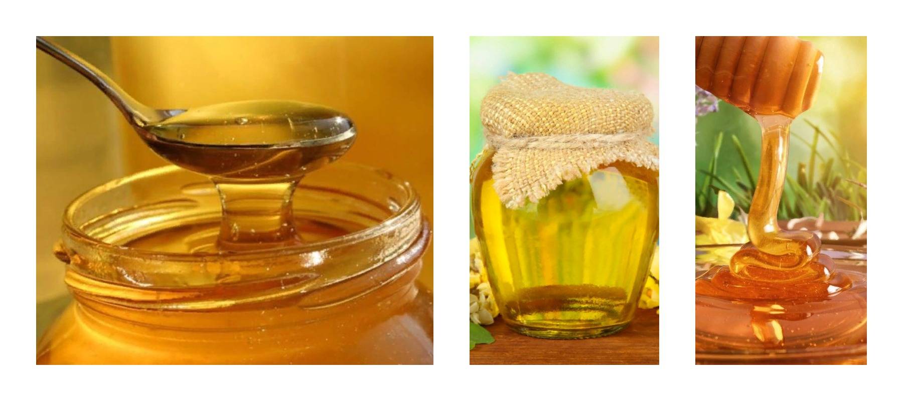 Мёд — полезные свойства, состав, виды и противопоказания