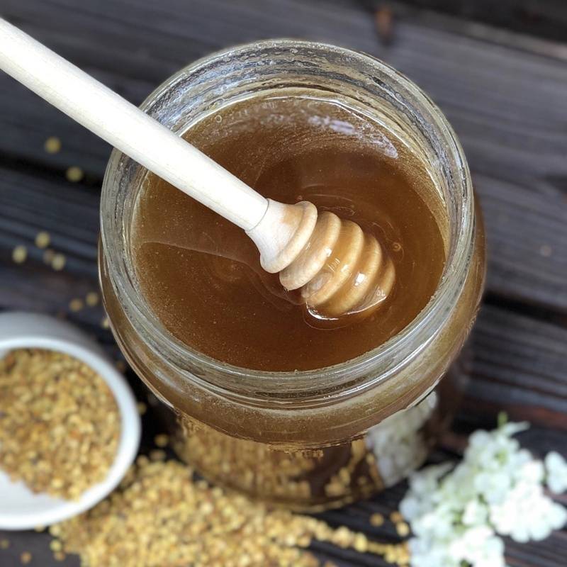 Гречишный мёд – польза и вред для детей и взрослых