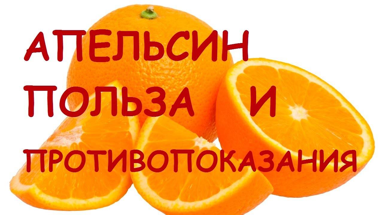 Апельсины, польза и вред для здоровья человека