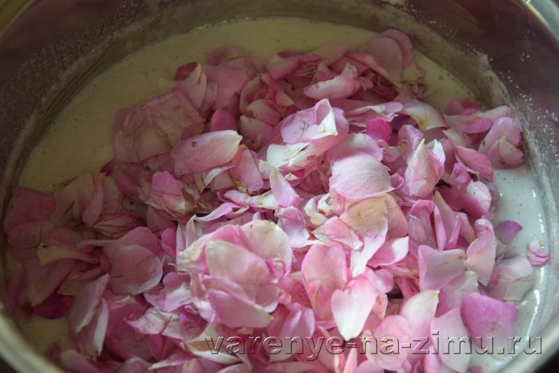Варенье из лепестков роз: рецепт с фото из чайной розы (7 рецептов)