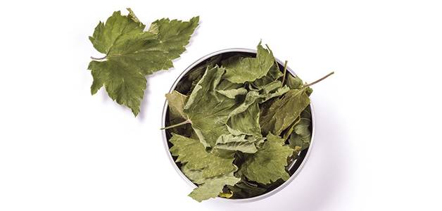 Польза и вред чая из листьев смородины. как заваривать чай