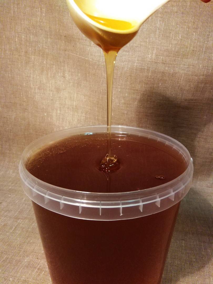 Горный мед – уникальные целебные свойства и особенности употребления