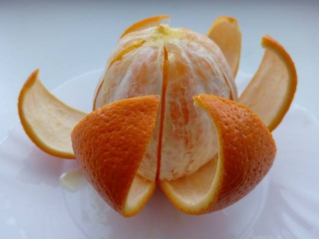 Корки апельсина полезные свойства