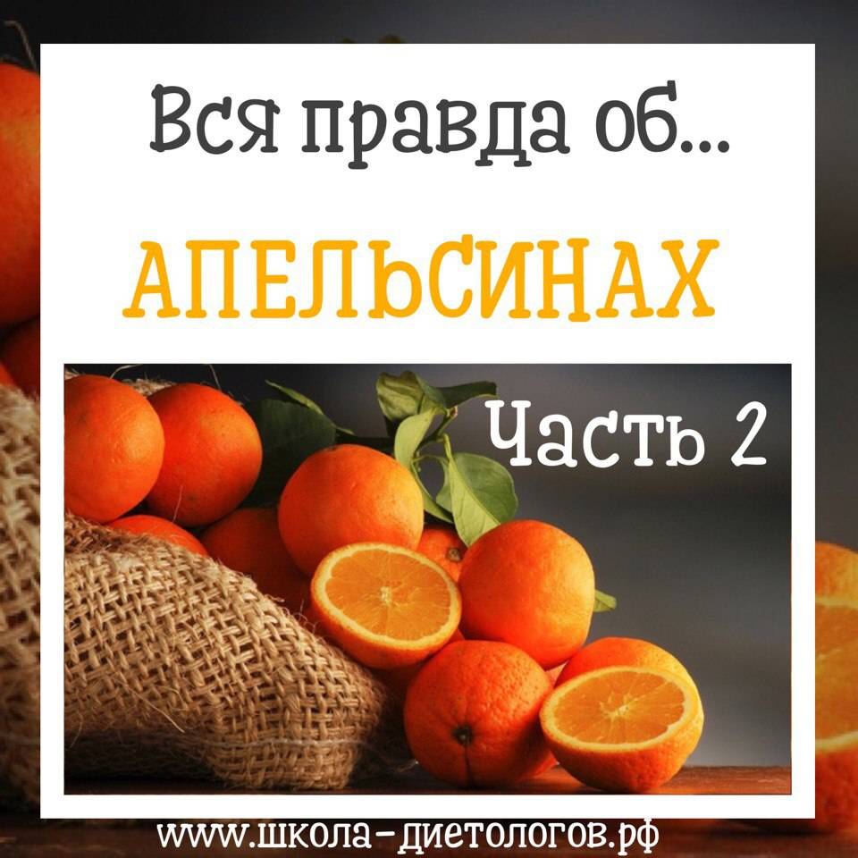 Польза и вред апельсина для организма человека