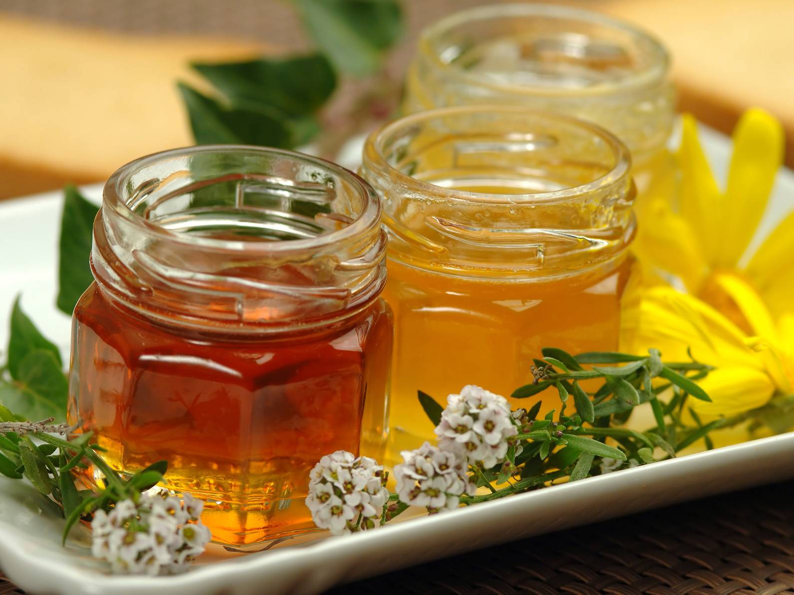 Весенний или майский мед: особенности сорта и полезные свойства пчелиного продукта