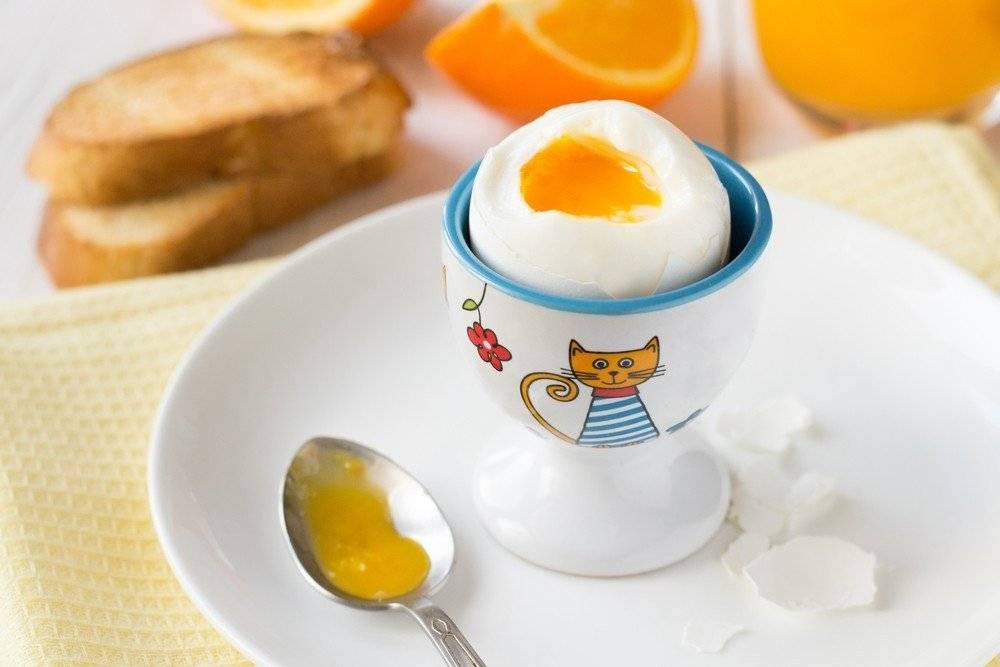 Яйца, польза и вред для здоровья человека