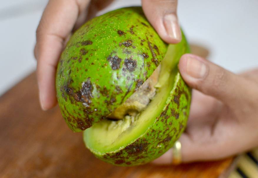 Как чистить авокадо: пошаговая инструкция, советы и рекомендации