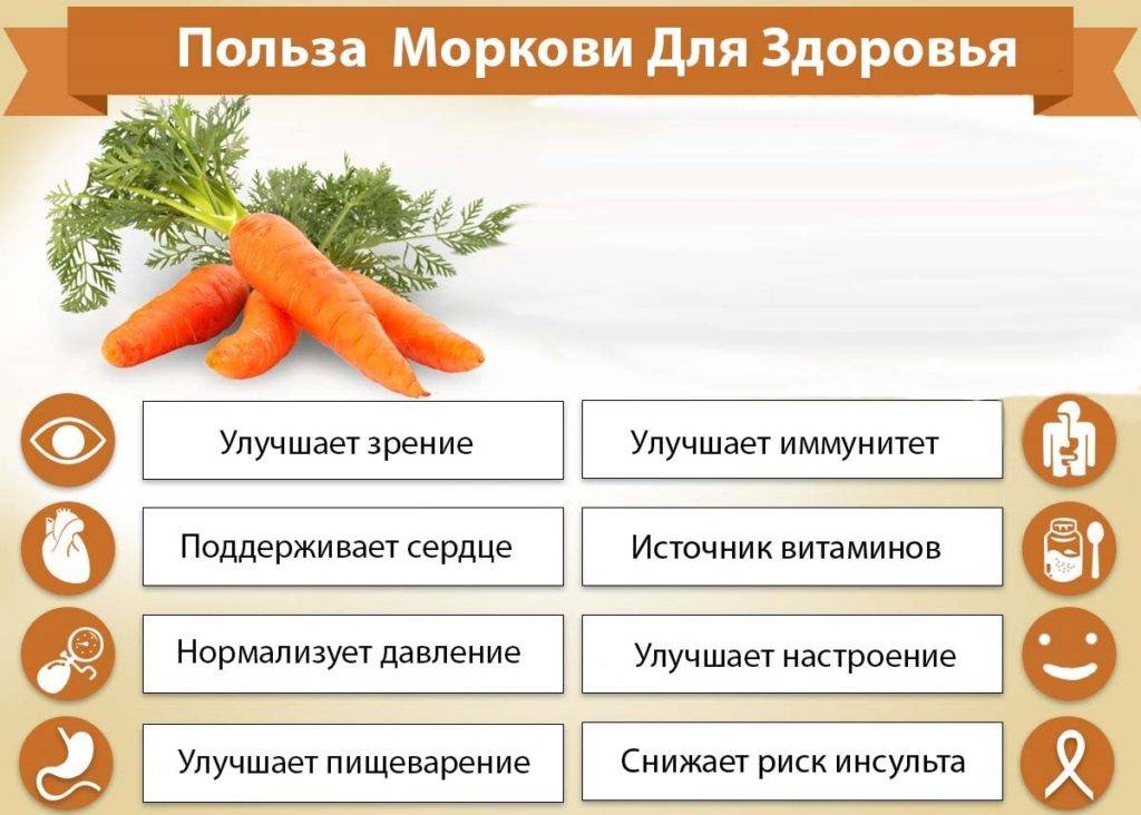 Полезные свойства ботвы моркови