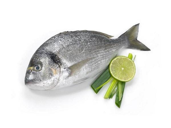 Дорадо — знакомство с античным деликатесом. рыба дорадо: польза и вред от употребления в пищу, способы приготовления