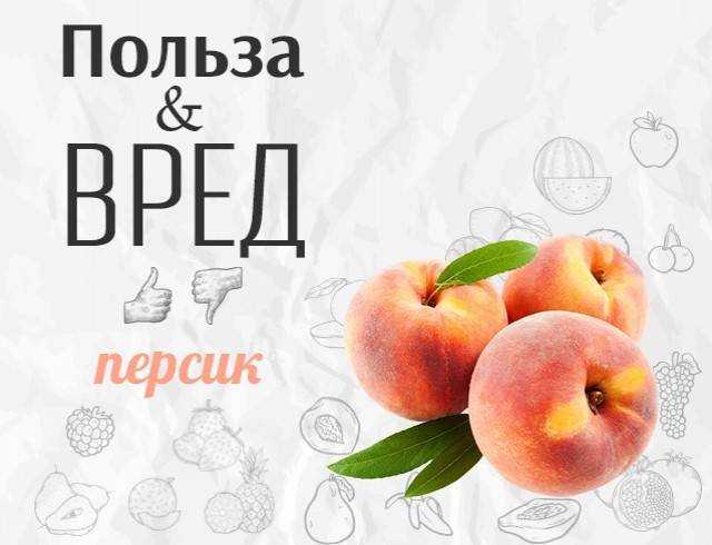 Персики: польза и вред для здоровья, сколько можно съесть
