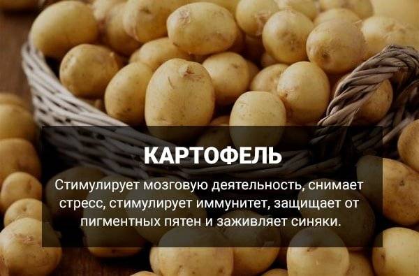 Польза и вред картофеля в мундире. противопоказания и приготовление