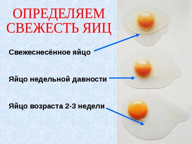 Способы проверки свежести перепелиных яиц