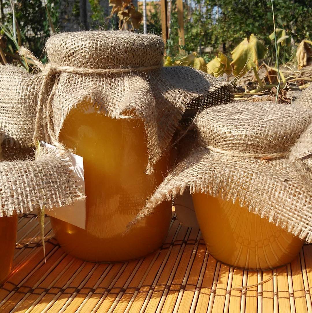 Подсолнечный мед: чем полезен и от чего помогает, как использовать в лечебных целях