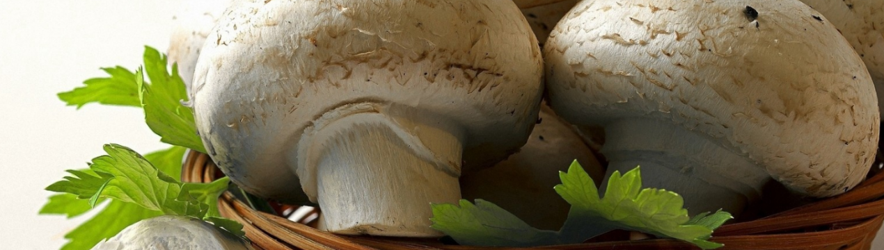 Шампиньоны: состав, полезные свойства и вред грибов