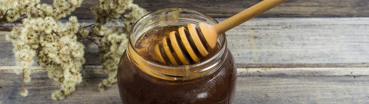 Гречишный мед: польза и вред для организма, возможные противопоказания