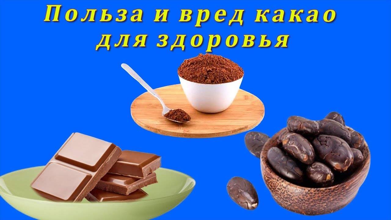 Польза и вред какао порошка для здоровья, пить или не пить
