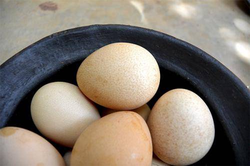 В чем польза перепелиных яиц для женщин