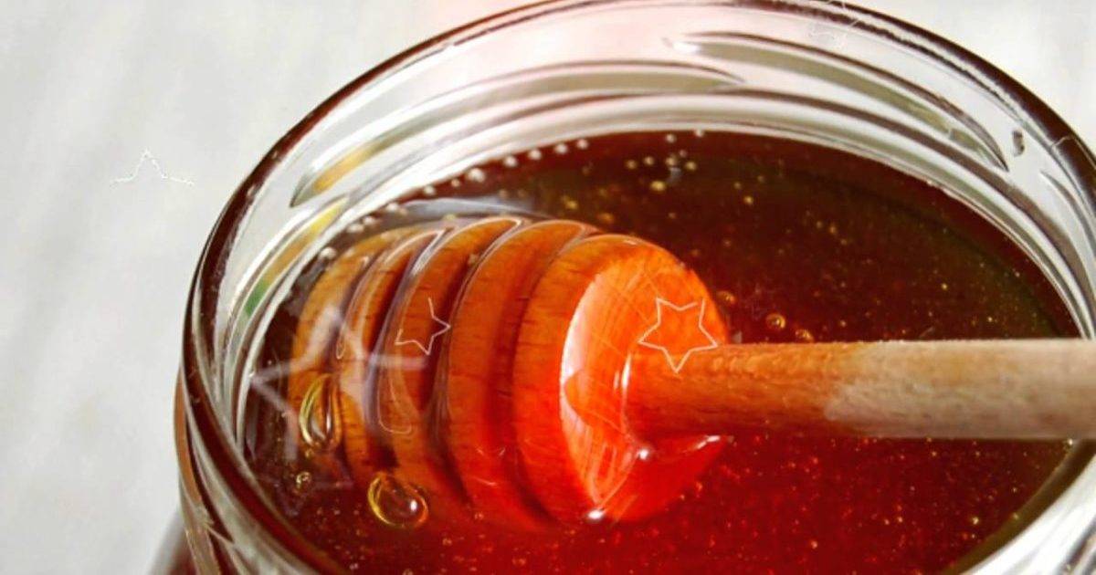 Каштановый мед: полезные свойства, как принимать